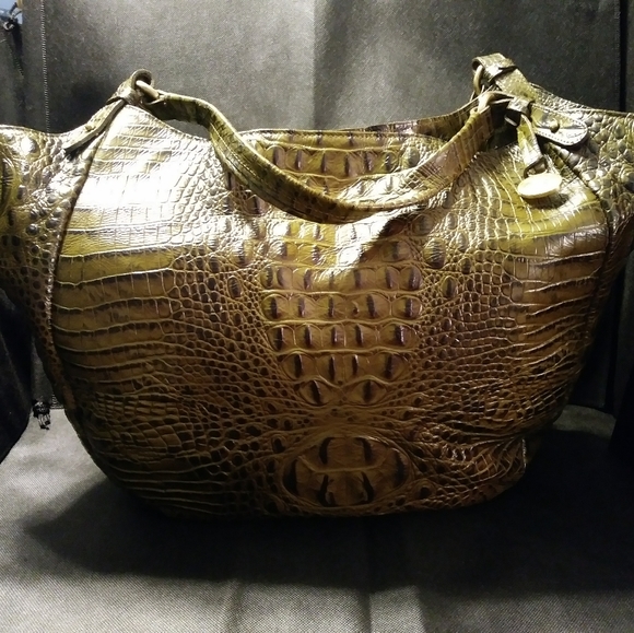 Brahmin - Picture 2 of 4